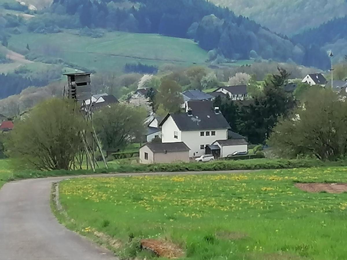Ferienhaus Eifelmomente Gerolstein Kültér fotó